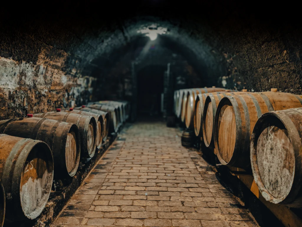 A dark cellar lined with wine barrels, lit by a single bulb.