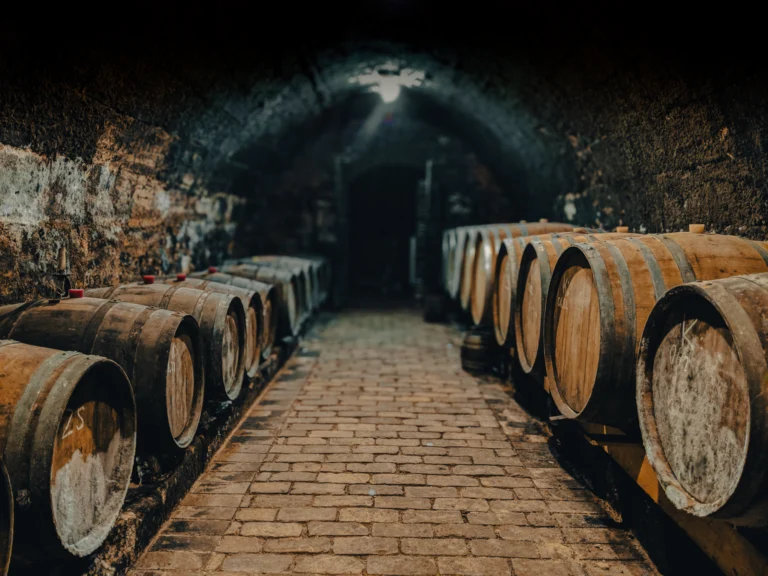 A dark cellar lined with wine barrels, lit by a single bulb.